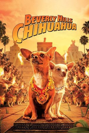 Beverly Hills Chihuahua kinox