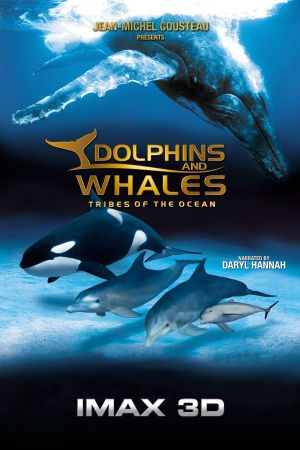 IMAX: Delfine und Wale kinox