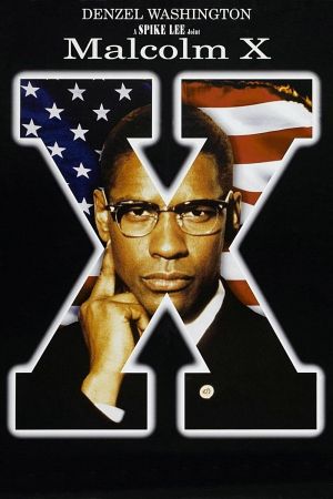 Malcolm X kinox