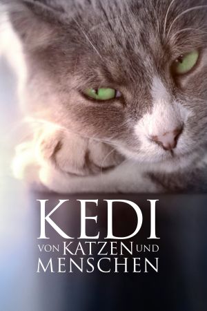 Kedi: Von Katzen und Menschen kinox