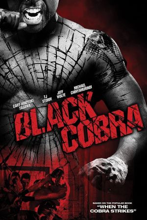 Black Cobra - Schwarze Diamanten kinox