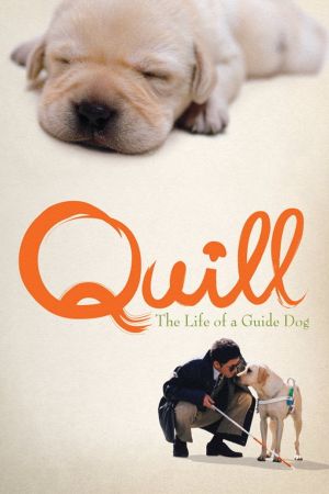 Quill - Ein Freund für´s Leben kinox
