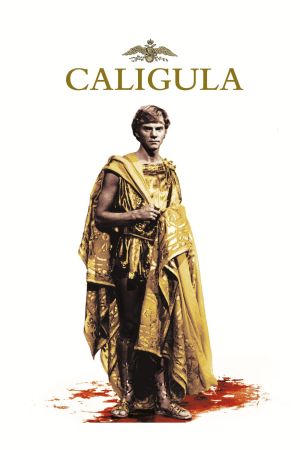 Caligula kinox